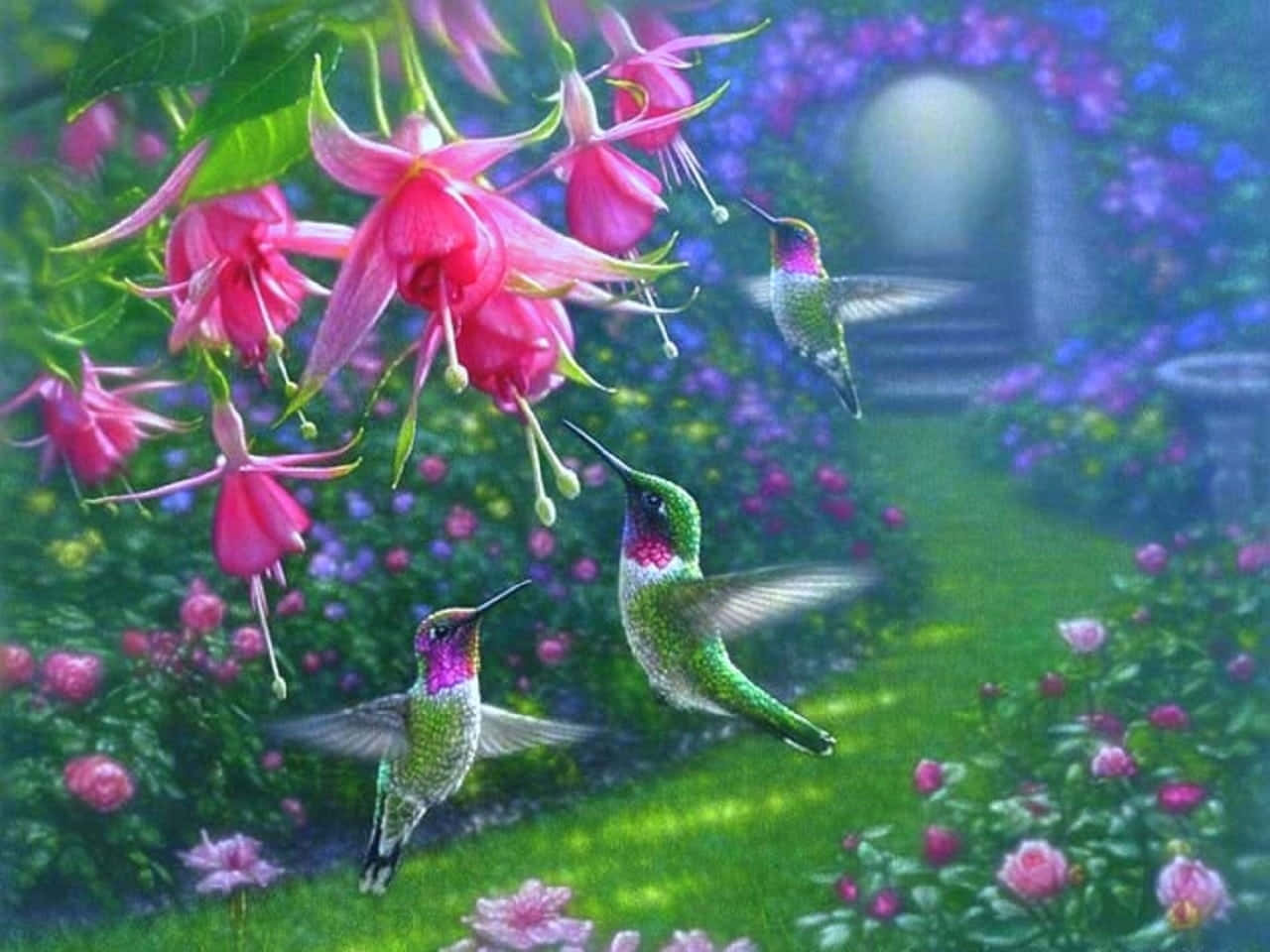 spring birds, iridescent hummingbirds, vibrant pink fuchsia flowers, HD Desktop Wallpaper