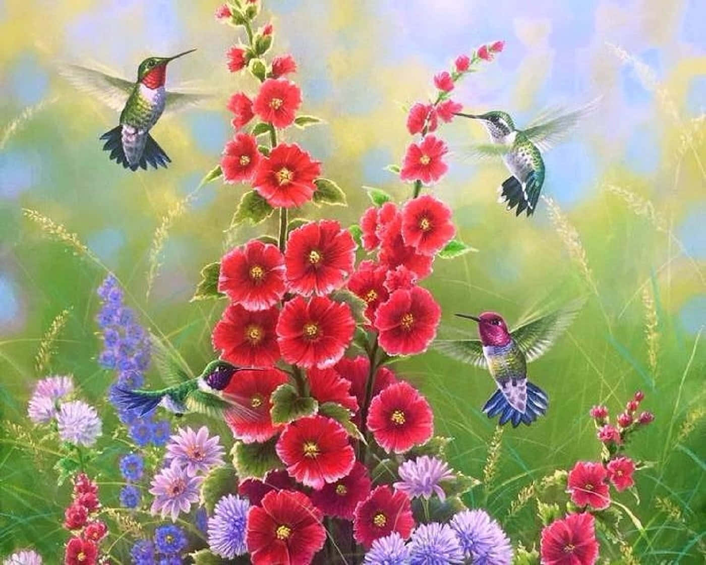 Spring Birds, hummingbirds, sunlit meadow, HD Desktop Wallpaper