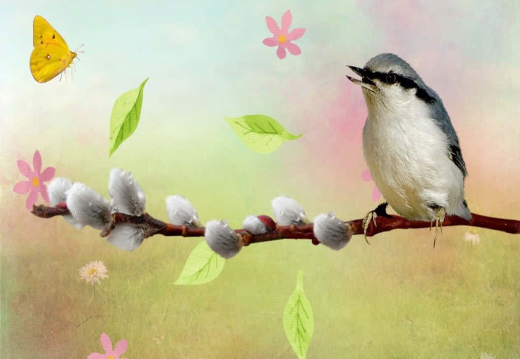willow branch, fluffy catkins, floating leaves, SD Desktop Wallpaper
