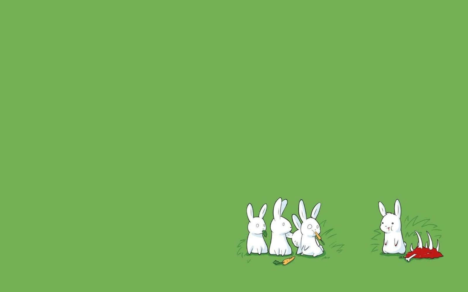simple spring, bunnies, white rabbits, HD Desktop Wallpaper