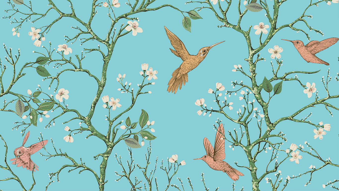 hummingbirds, blossoming branches, soft turquoise backdrop, HD Desktop Wallpaper
