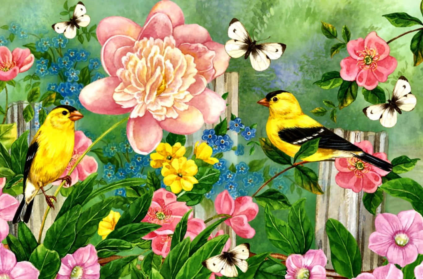 Spring Birds, blossoming cherry tree branch, pink peonies, HD Desktop Wallpaper