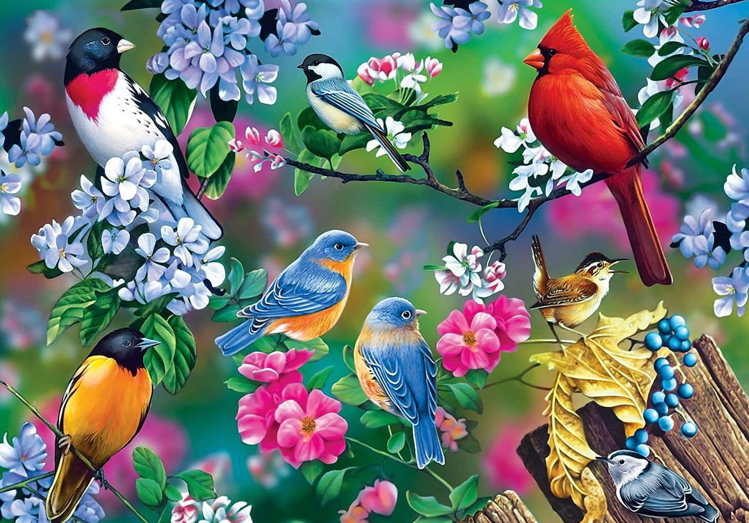 spring birds, pink flowers, white flowers, HD Desktop Wallpaper