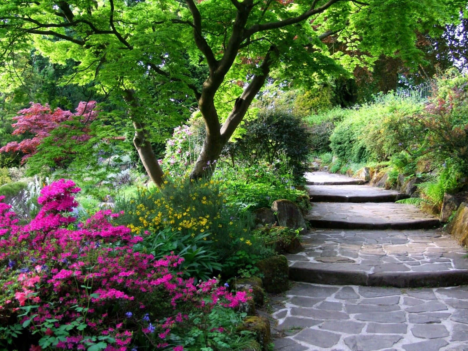 spring garden, stone path, lush garden, HD Desktop Wallpaper