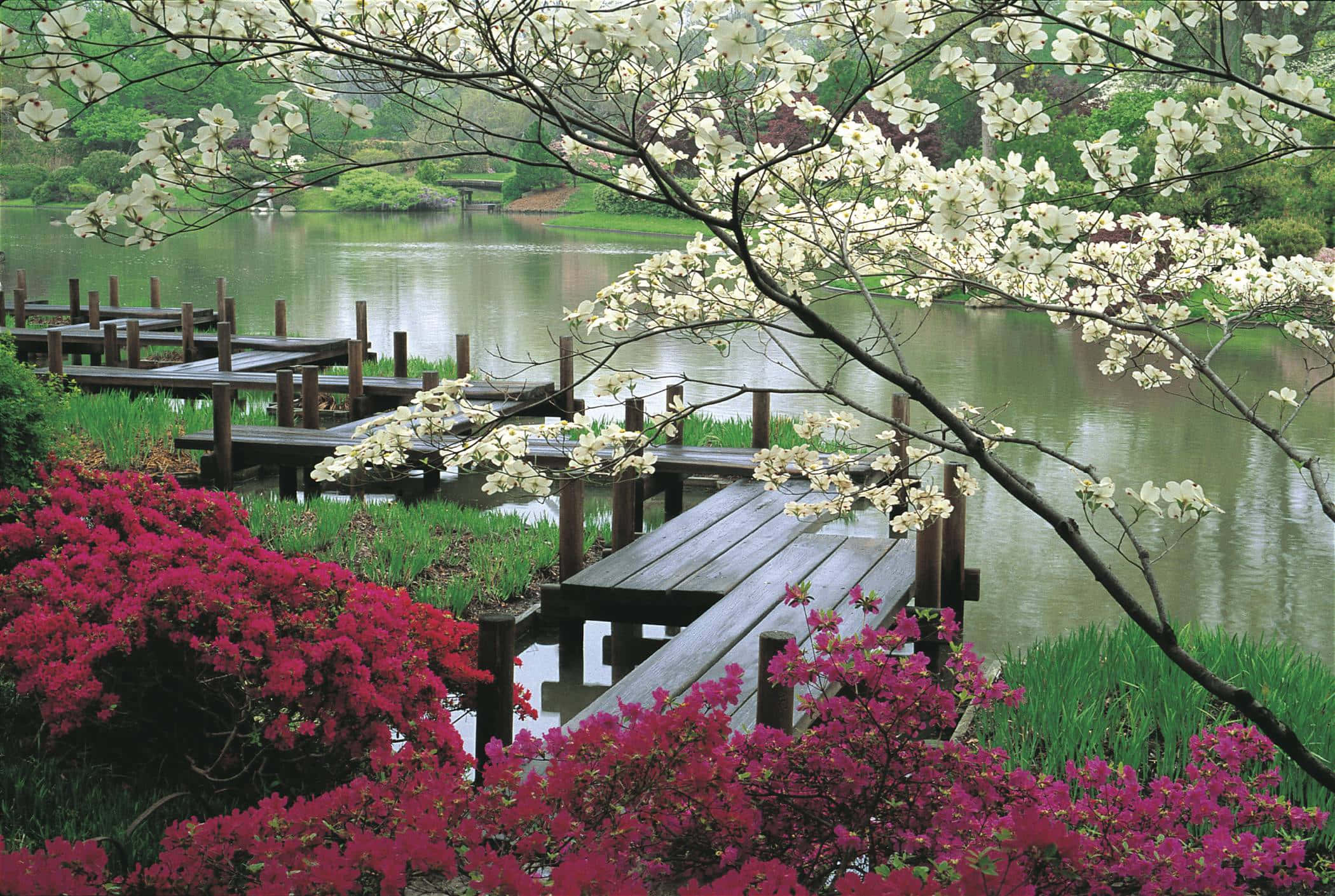 spring garden, wooden dock, calm pond, Full HD Desktop Wallpaper