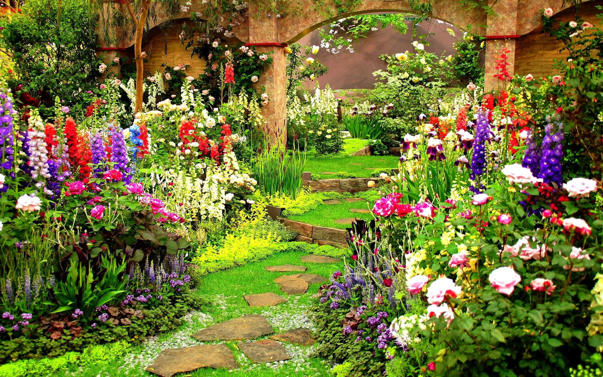spring garden, vibrant garden path, colorful flowers, Full HD Desktop Wallpaper
