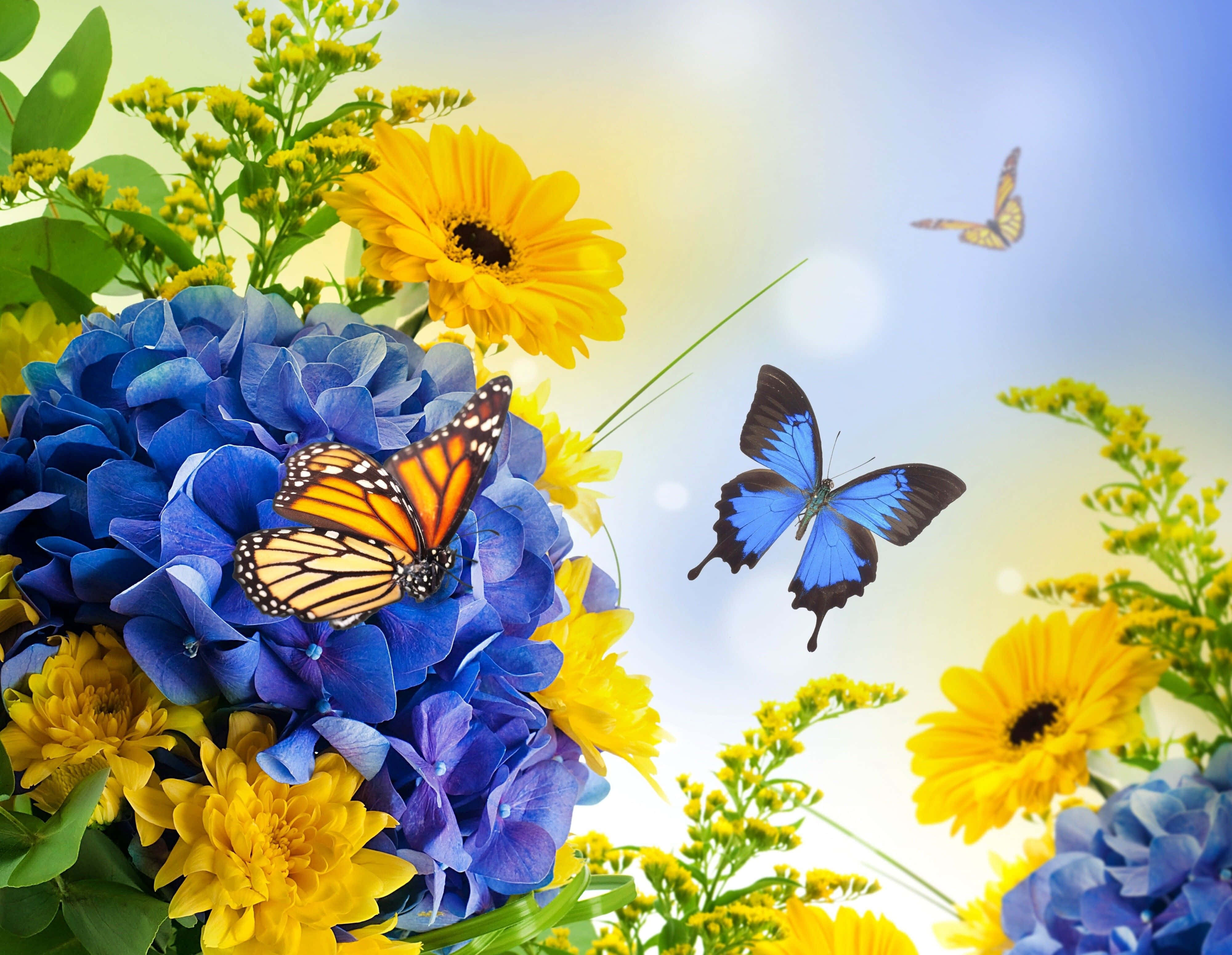 Spring Butterflies, hydrangeas, daisies, 4K Desktop Wallpaper