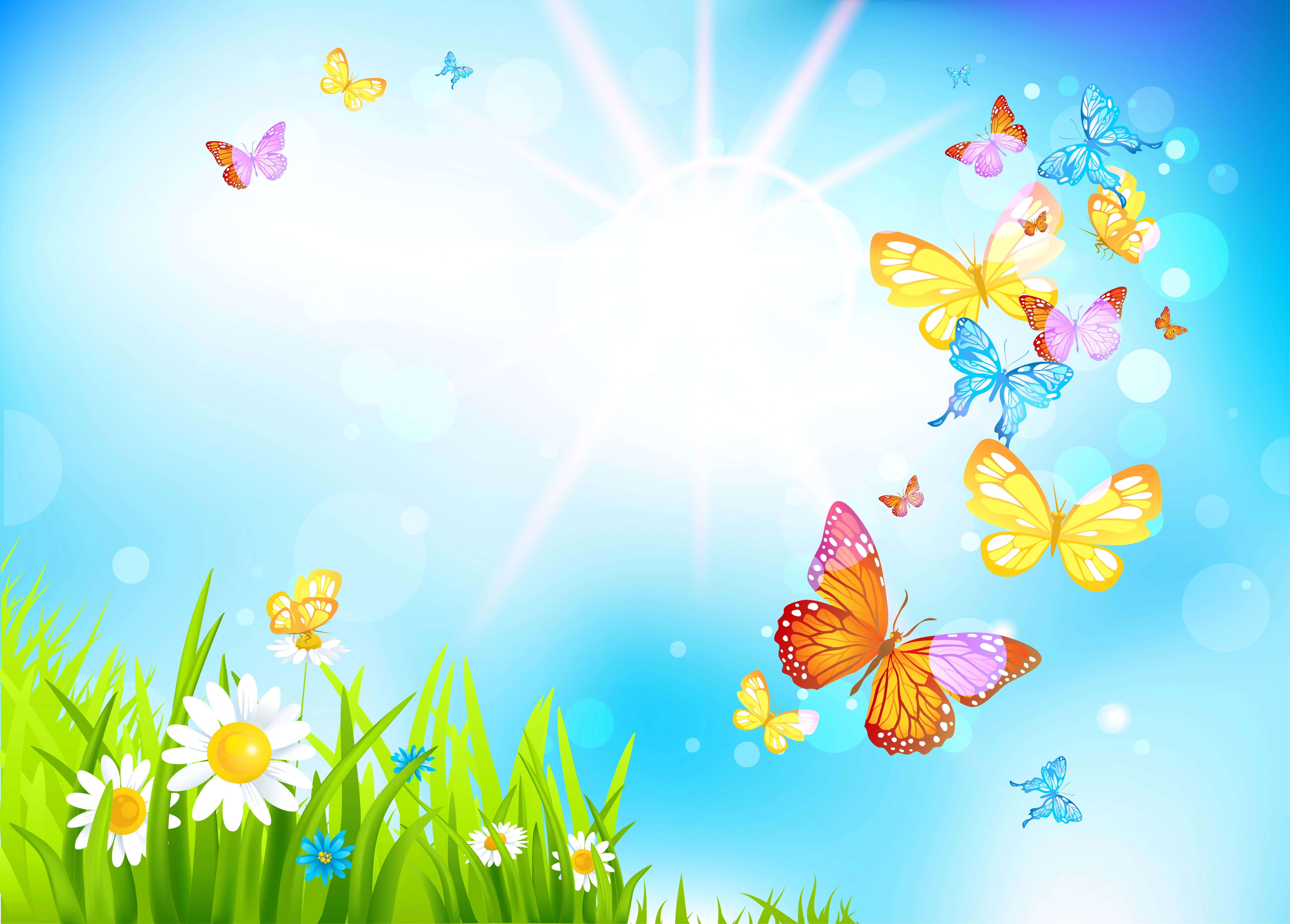 Spring Butterflies, butterflies, daisies, 4K Desktop Wallpaper