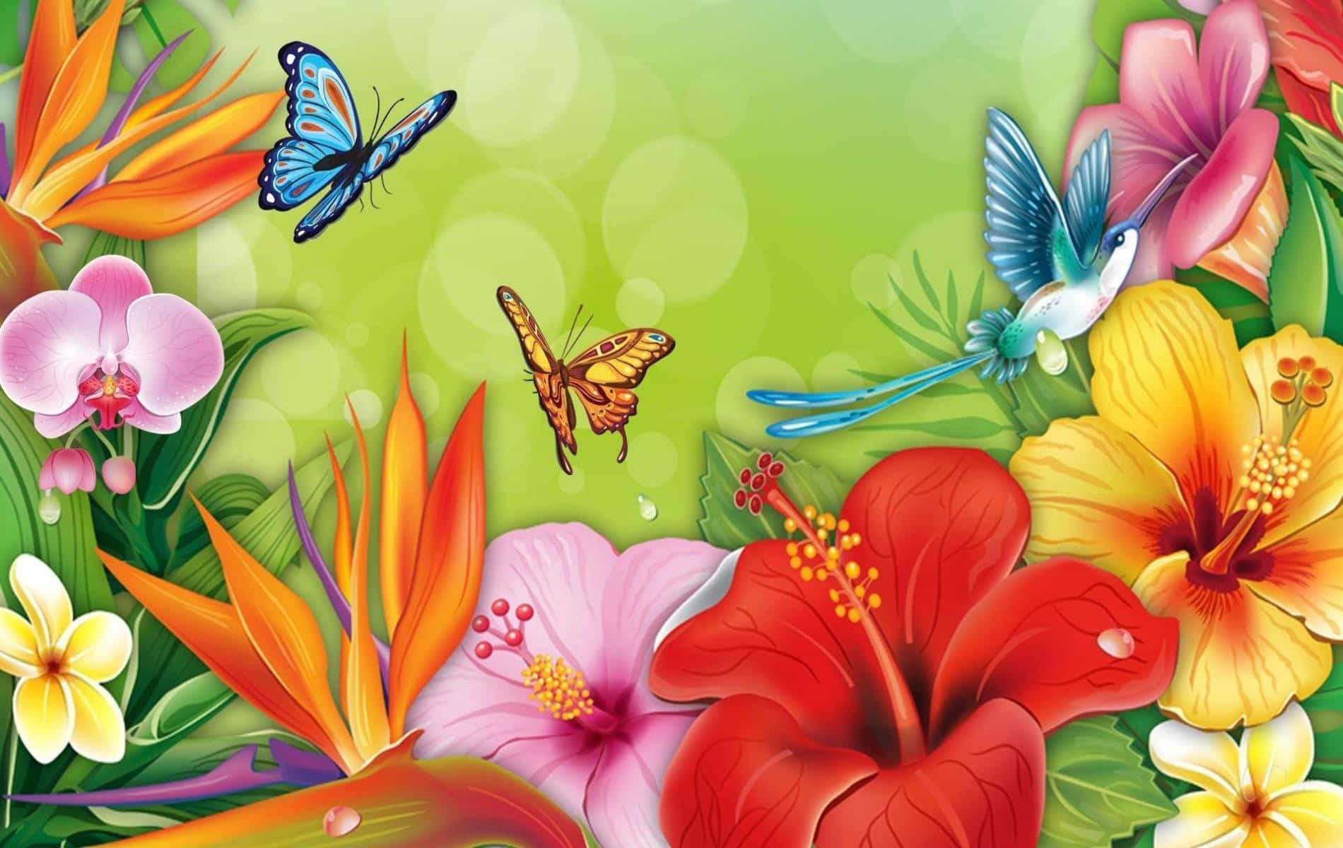 Spring Butterflies, Vibrant Meadow, tropical flowers, HD Desktop Wallpaper
