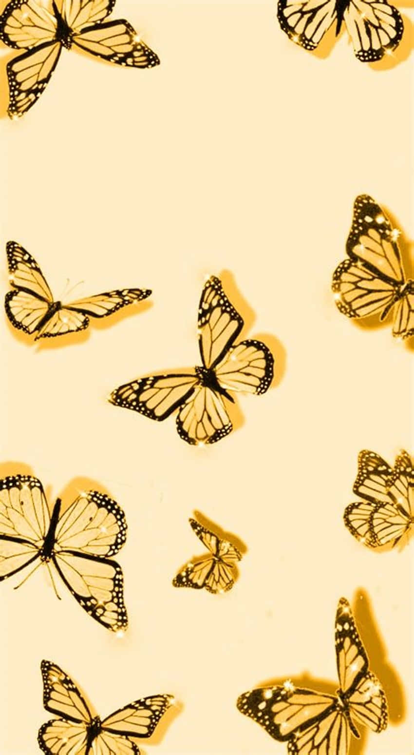 golden monarch butterflies, black veins, soft cream background, HD Phone Wallpaper