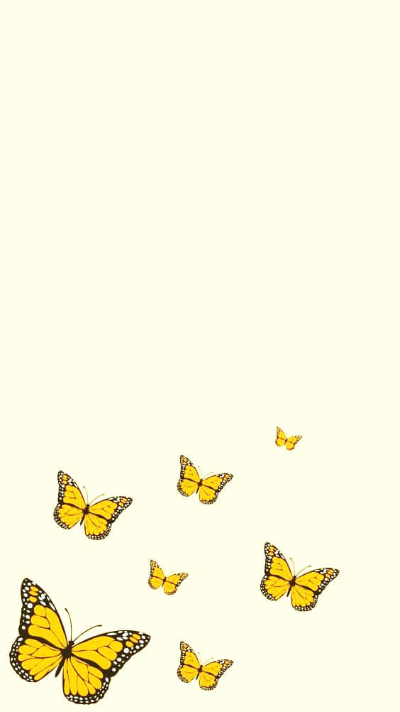 cute yellow butterflies, monarch butterflies, soft cream background, SD Phone Wallpaper