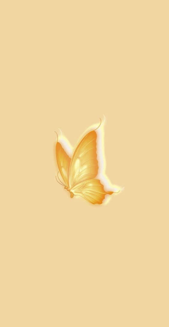 cute yellow butterflies, glowing golden butterfly, soft white edges, SD Phone Wallpaper