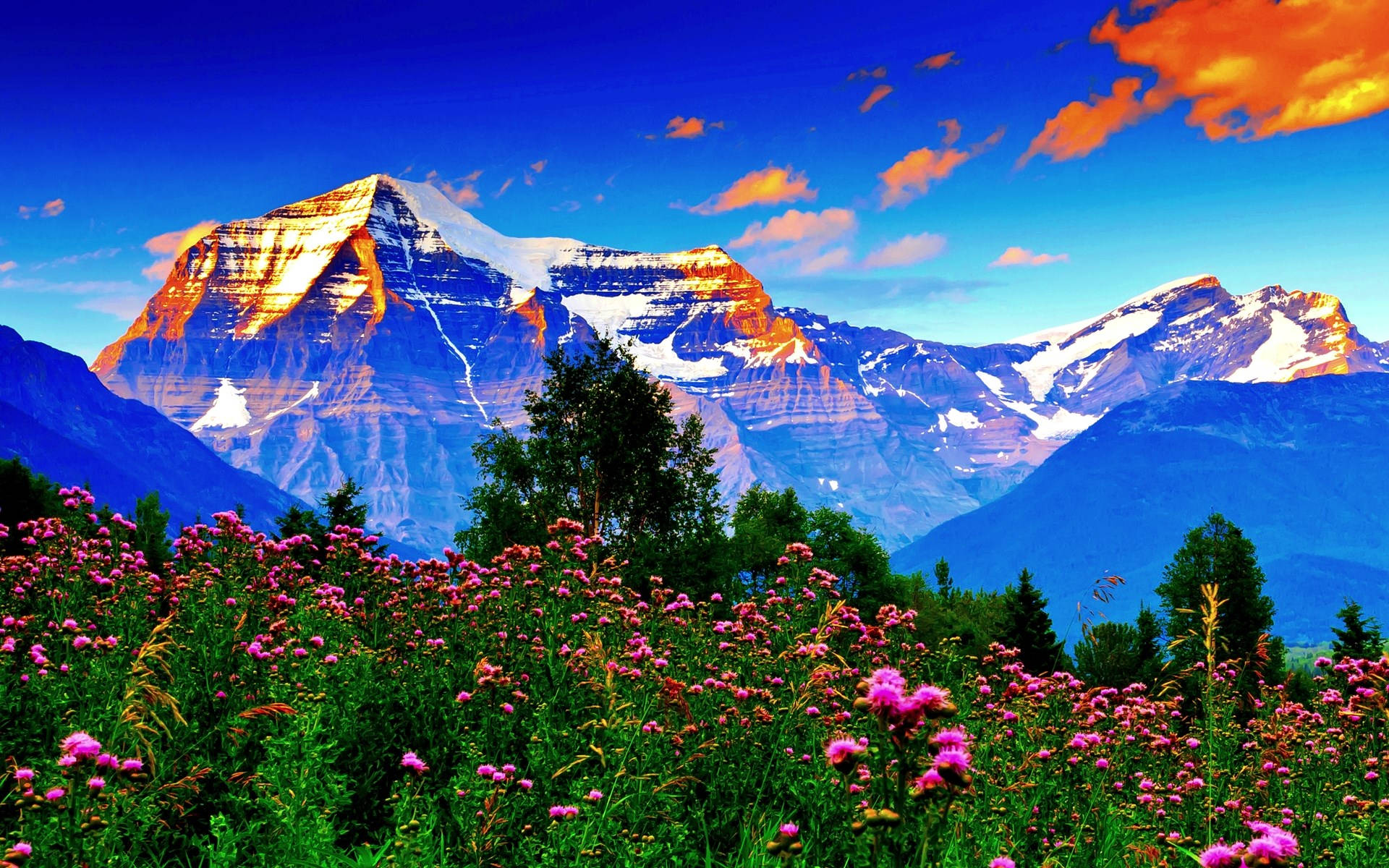 vibrant pink wildflowers, towering snow-capped mountains, vivid blue sky, Full HD Desktop Wallpaper