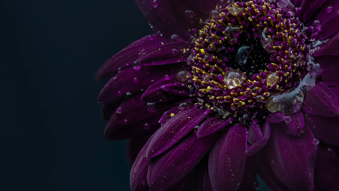 Spring Desktop