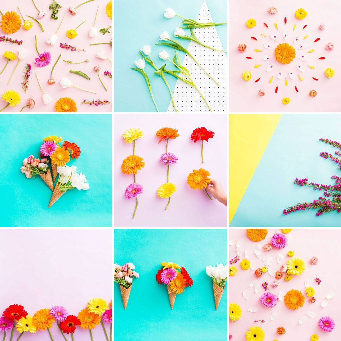 Spring Desktop, floral collage, colorful flowers, SD Desktop Wallpaper