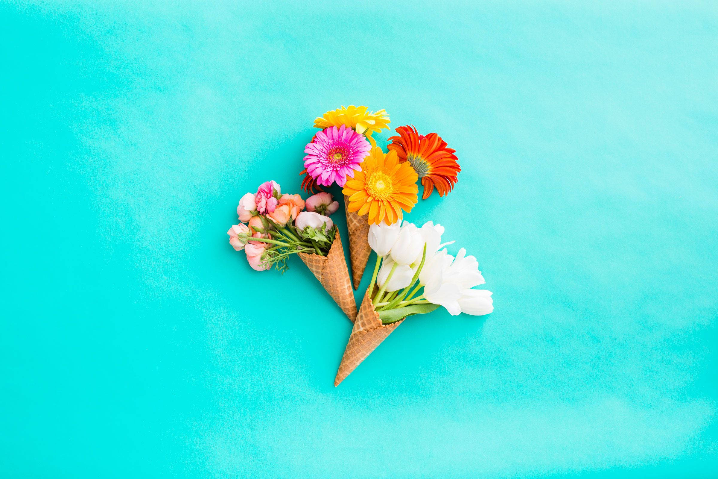 blue flowers, ice cream cones, bright turquoise background, Full HD Desktop Wallpaper