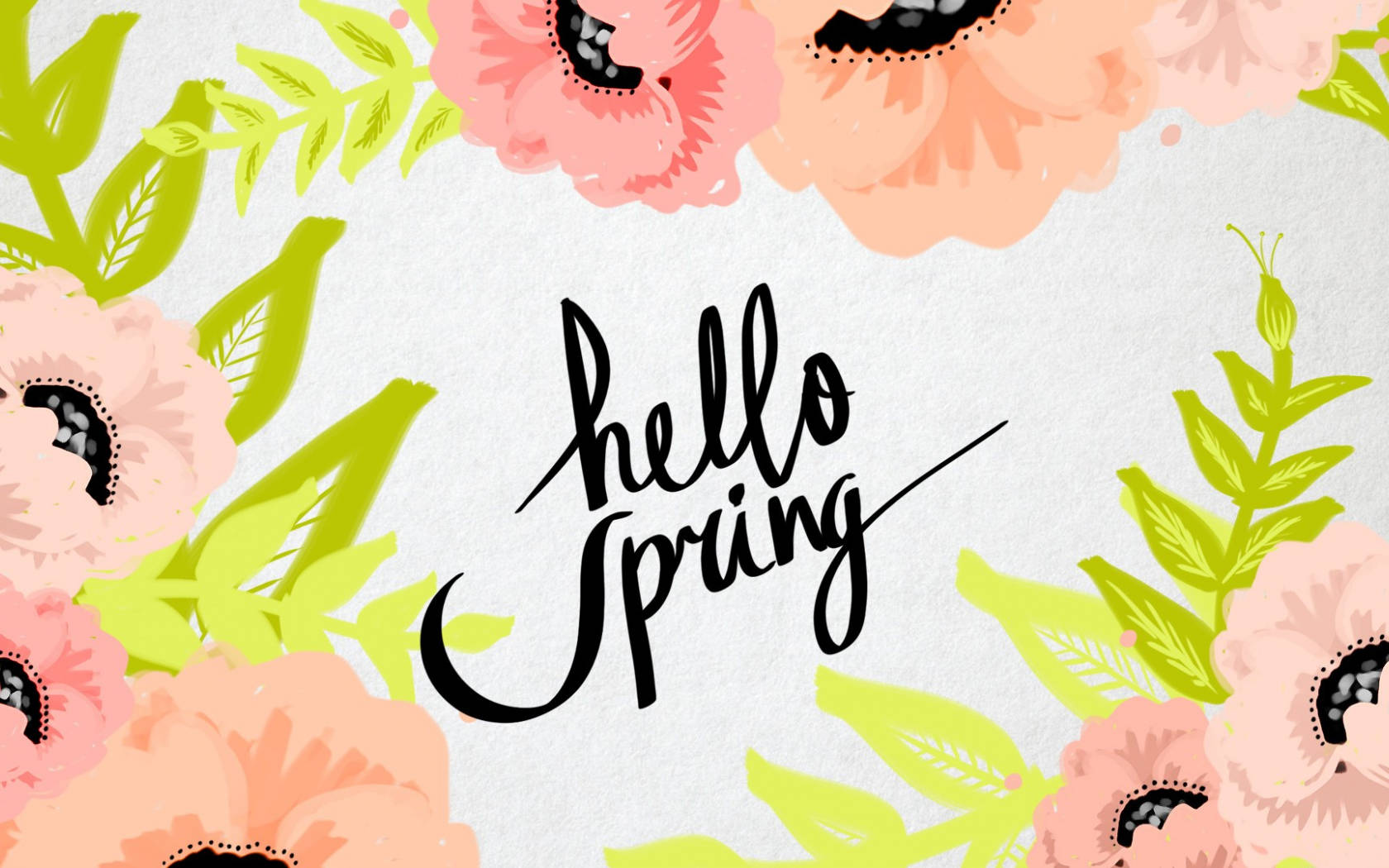 pink poppies, lime green leaves, black cursive text, HD Desktop Wallpaper