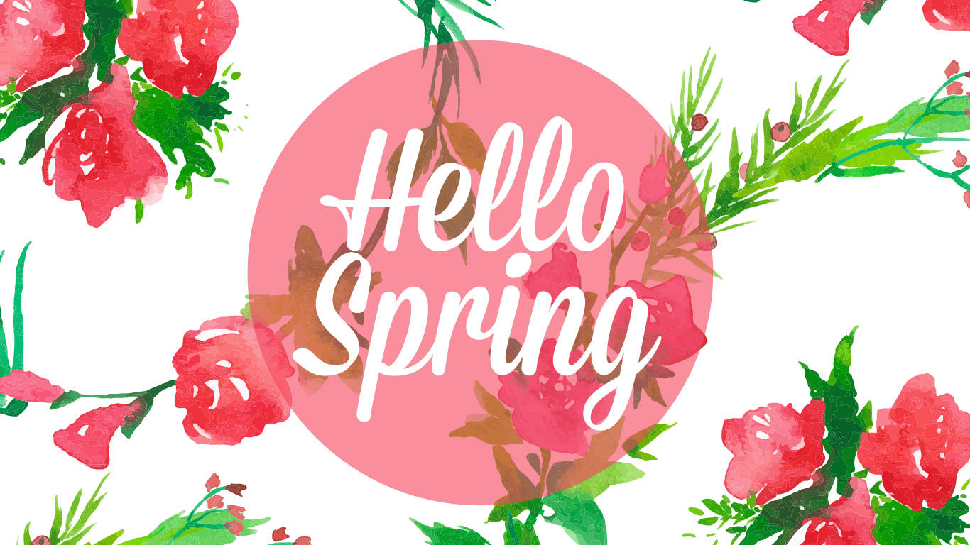 Spring Desktop, watercolor flowers, pink circle, HD Desktop Wallpaper