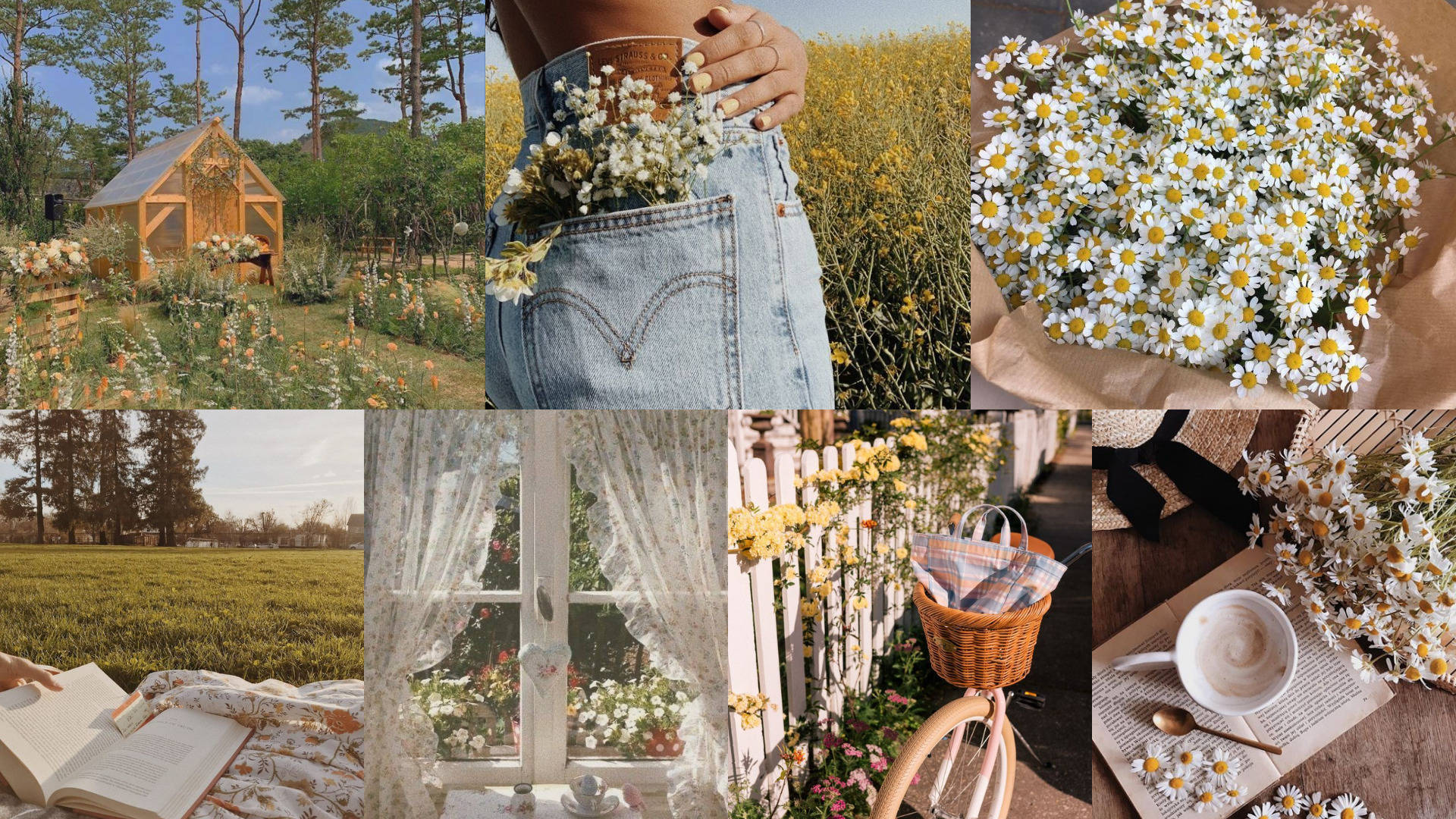 daisies, wooden arbor, book by a window, Full HD Desktop Wallpaper