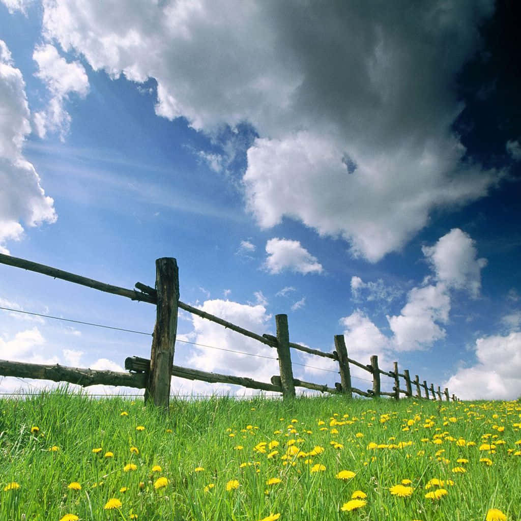 Spring Field View, iPad, rustic wooden fence, SD Desktop Wallpaper
