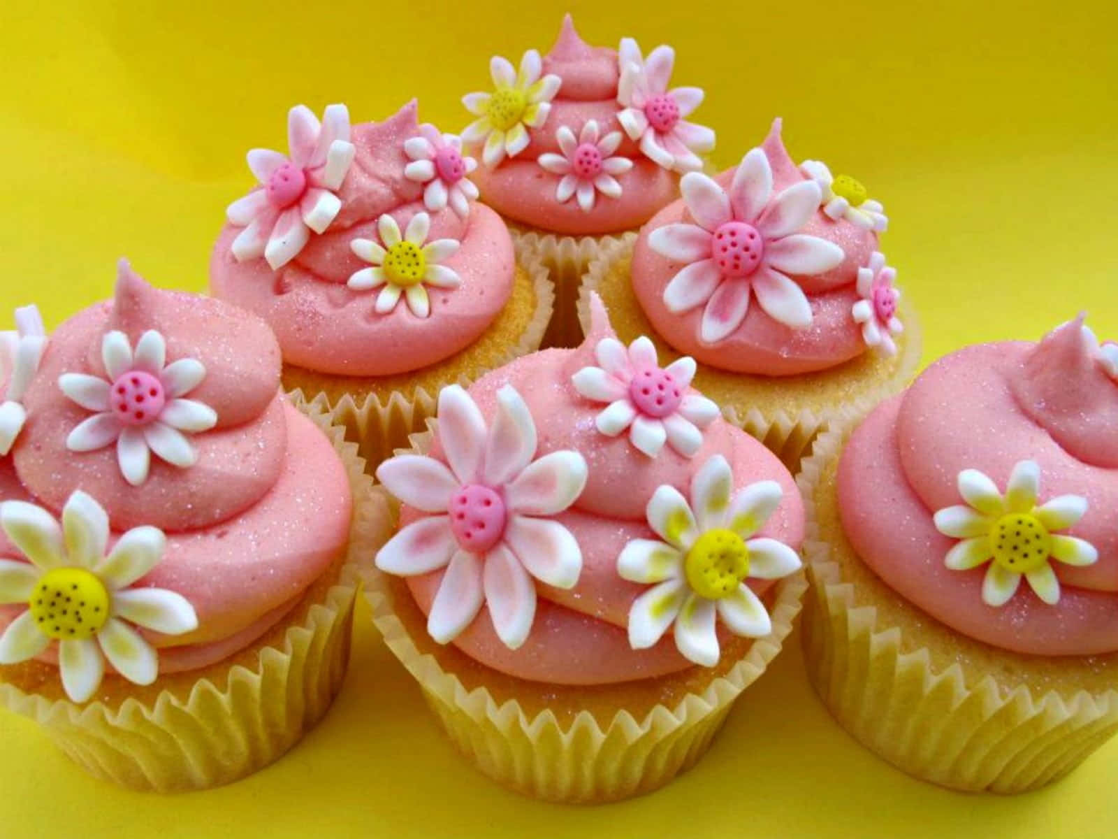 Spring Desserts, pink frosting, white daisies, HD Desktop Wallpaper