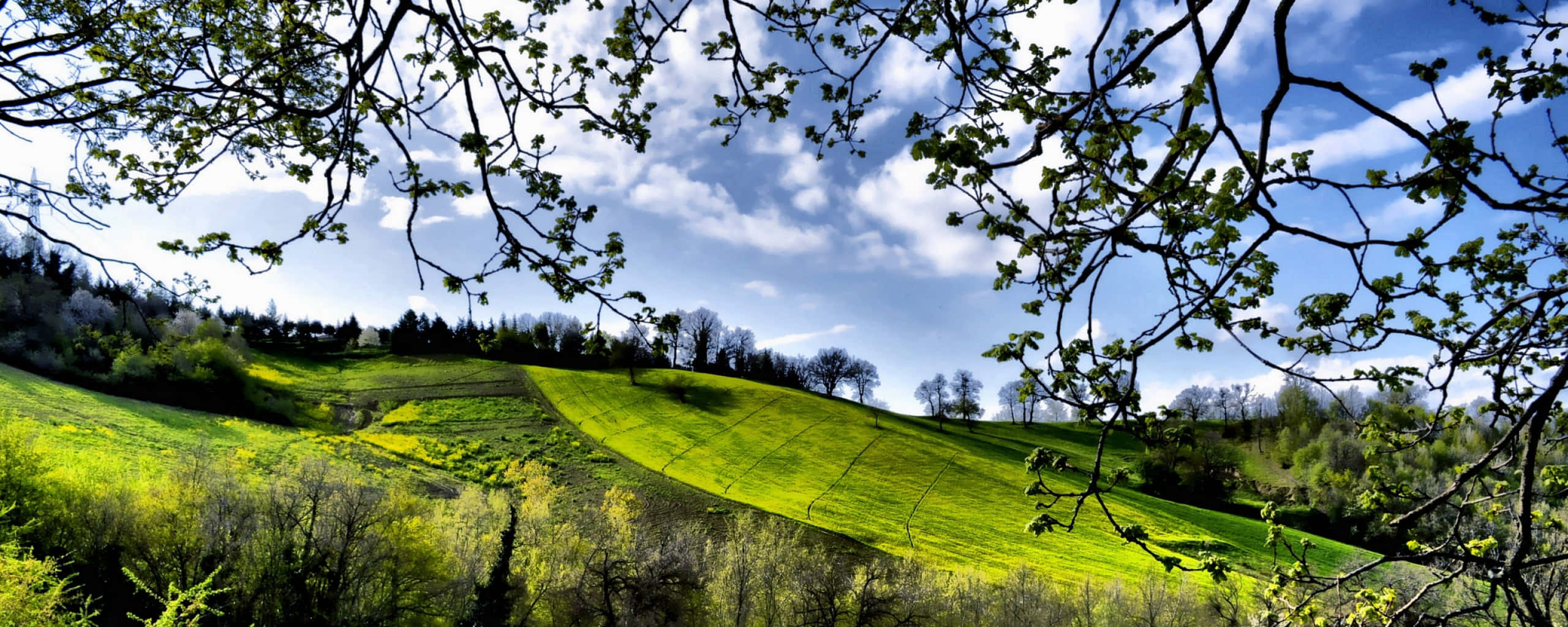Spring, green hills, blue sky, 2K Desktop Wallpaper