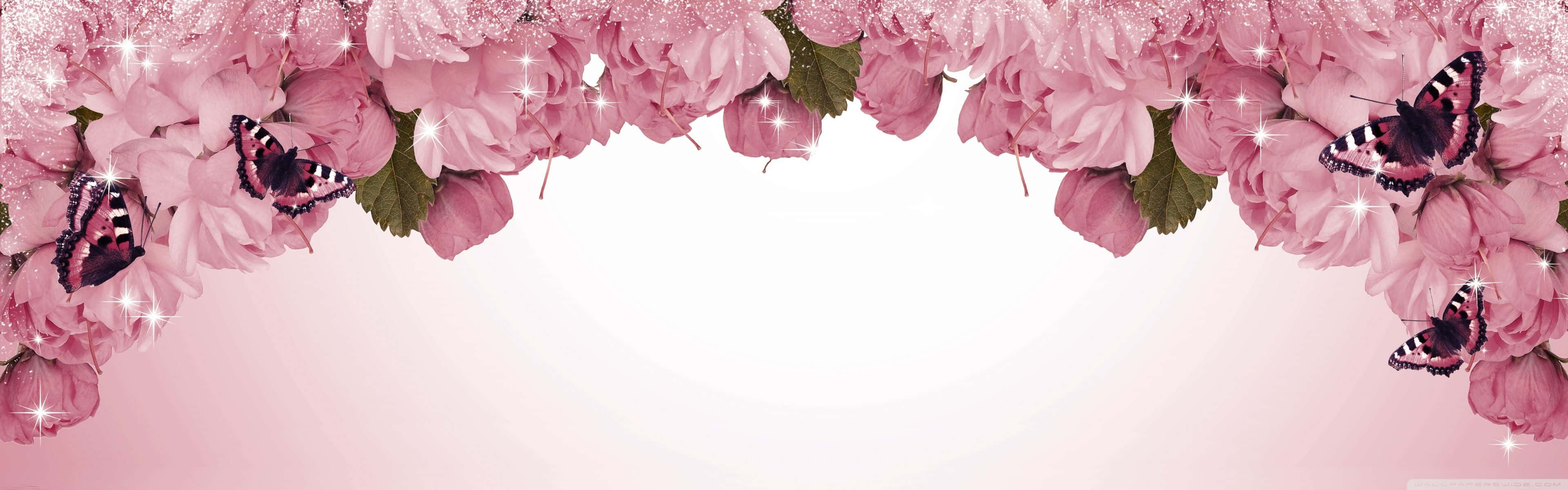 Spring Dual Monitor, pink cherry blossoms, butterflies, 4K Desktop Wallpaper