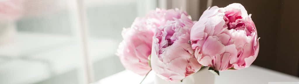 spring dual monitor, rural spring landscape, soft pink peonies, SD Desktop Wallpaper