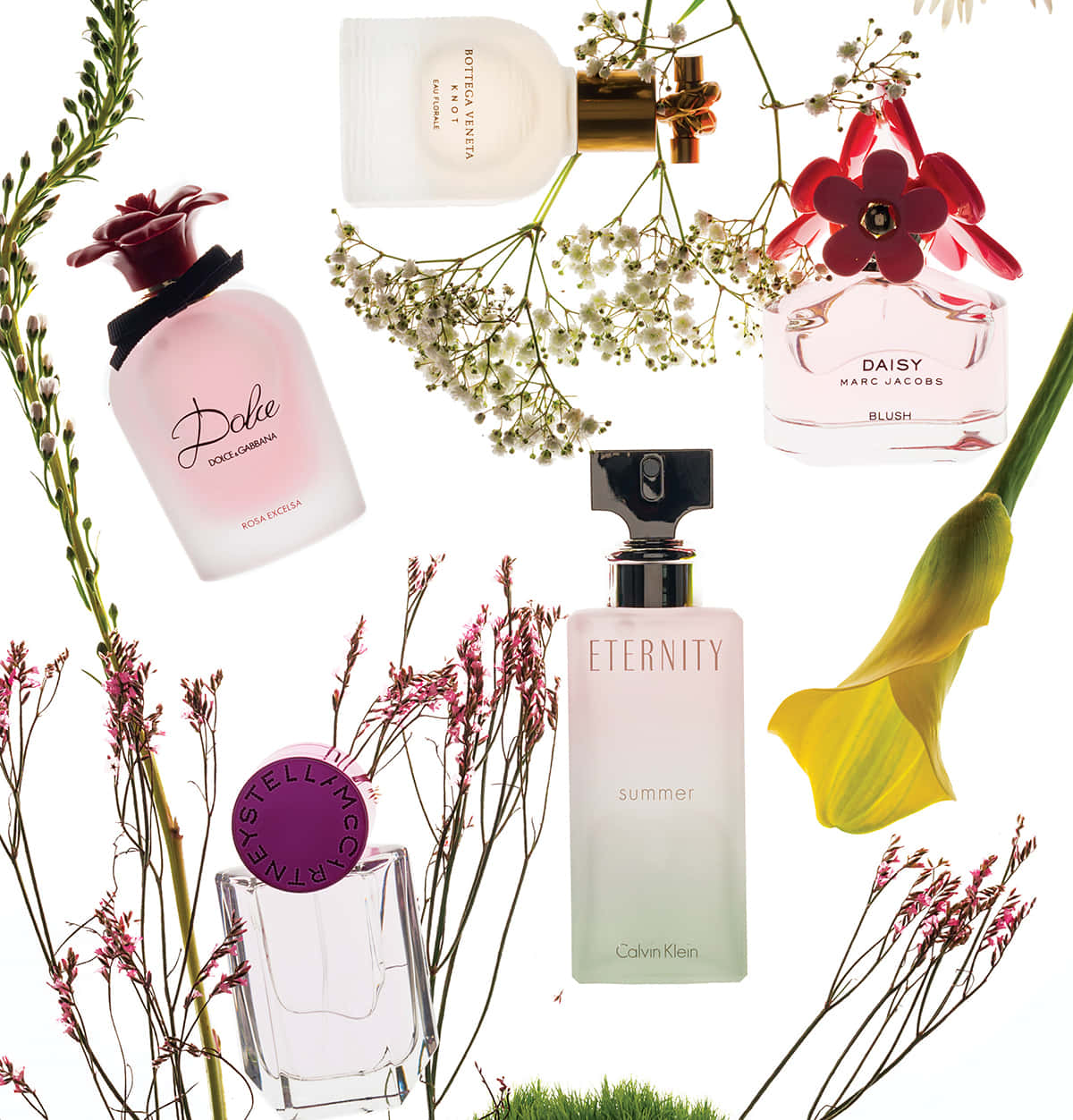 Spring Perfume, floral caps, stems, SD Phone Wallpaper