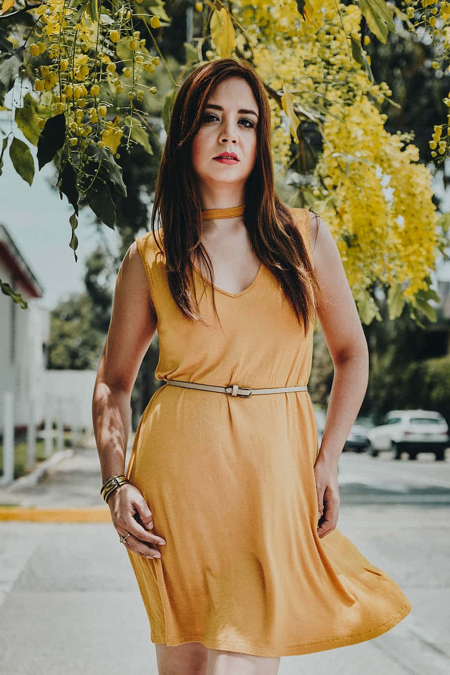 mustard yellow dress, vibrant yellow blossoms, sunny day, HD Phone Wallpaper