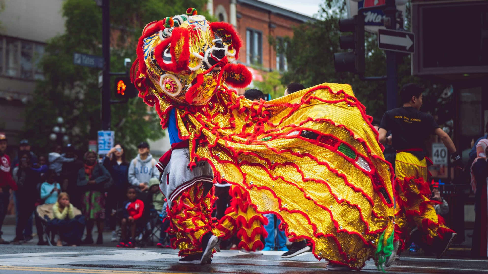 Spring Festival, lion dance, red and gold lion dance costume, Full HD Desktop Wallpaper
