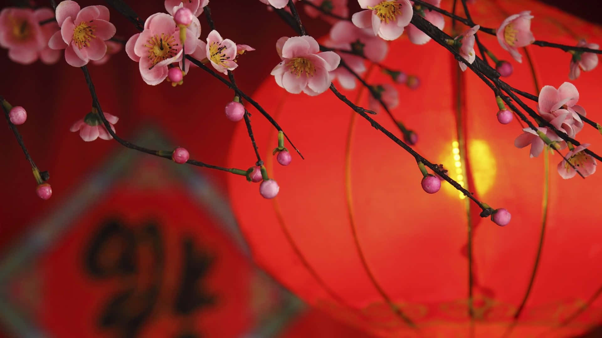 Spring Festival, cherry blossoms, dark branches, Full HD Desktop Wallpaper
