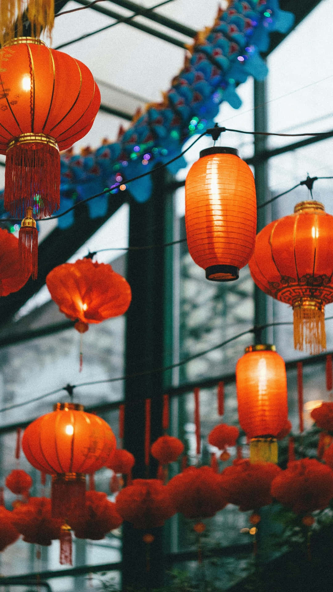 Spring Festival, red paper lanterns, glass roof, Full HD Phone Wallpaper