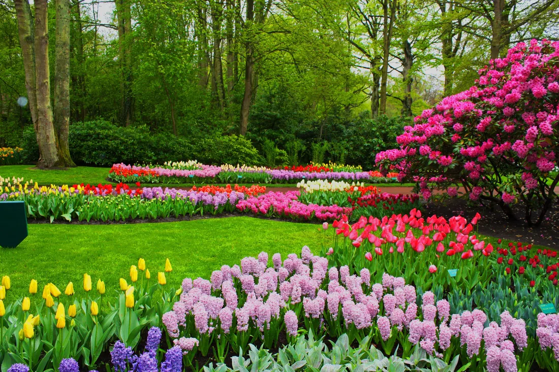 Spring Fields