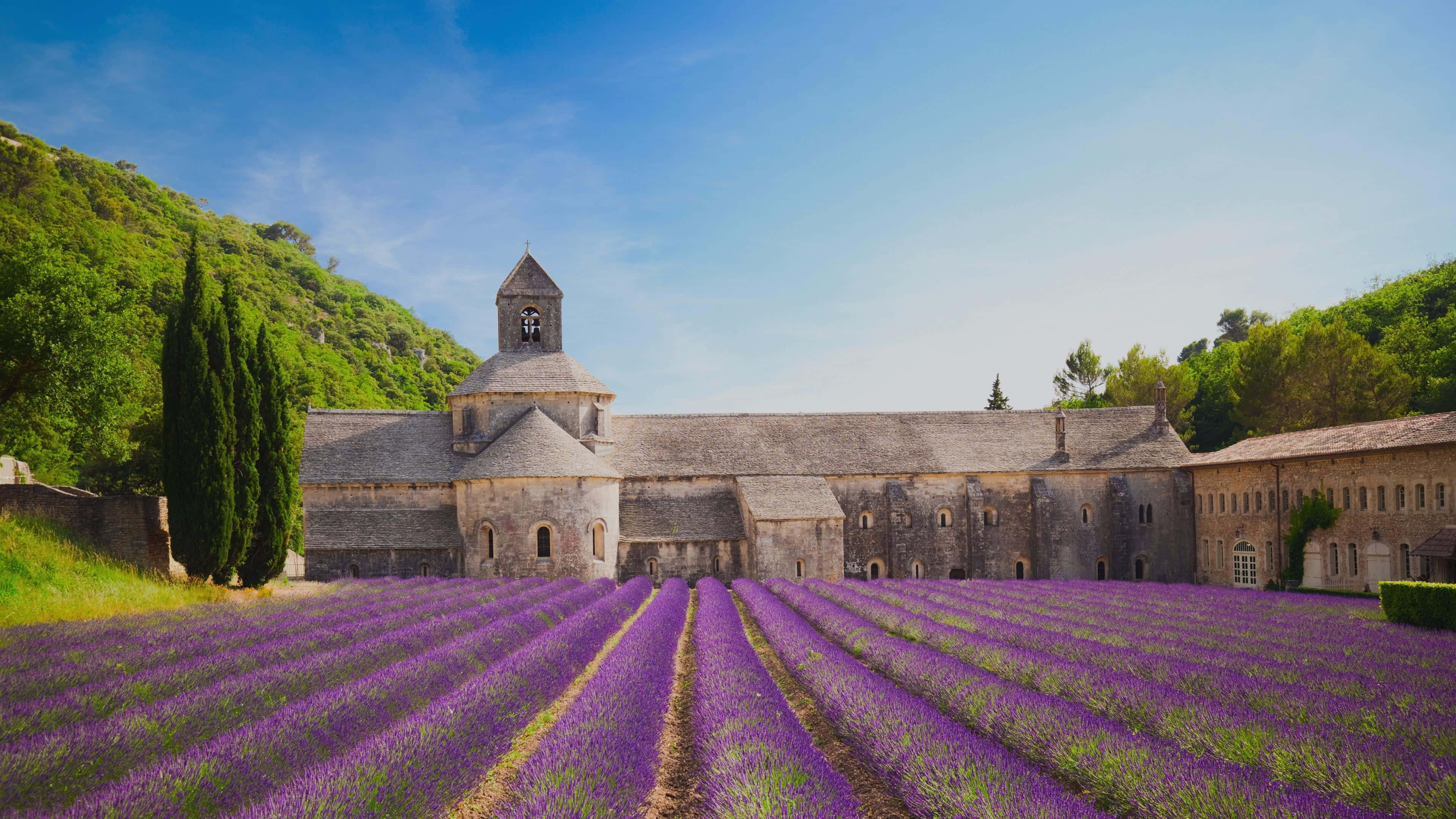 Spring Fields, purple lavender, historic stone abbey, 4K Desktop Wallpaper