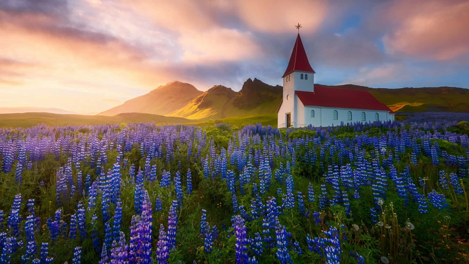 Spring Fields, white church, red roof, Full HD Desktop Wallpaper