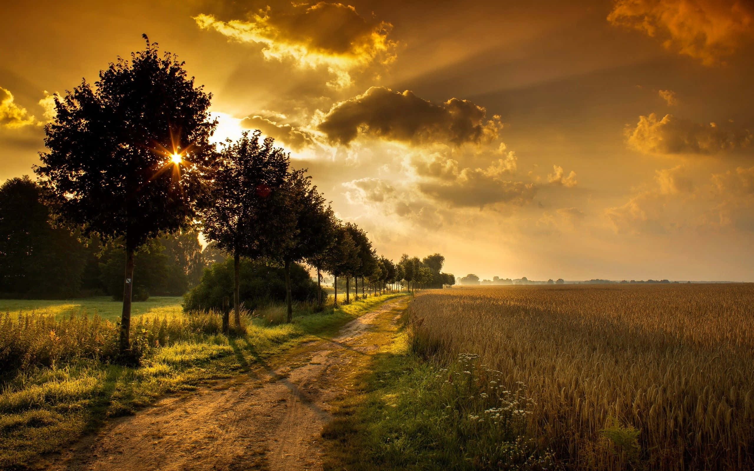 Spring Fields, sunset, winding dirt path, 2K Desktop Wallpaper