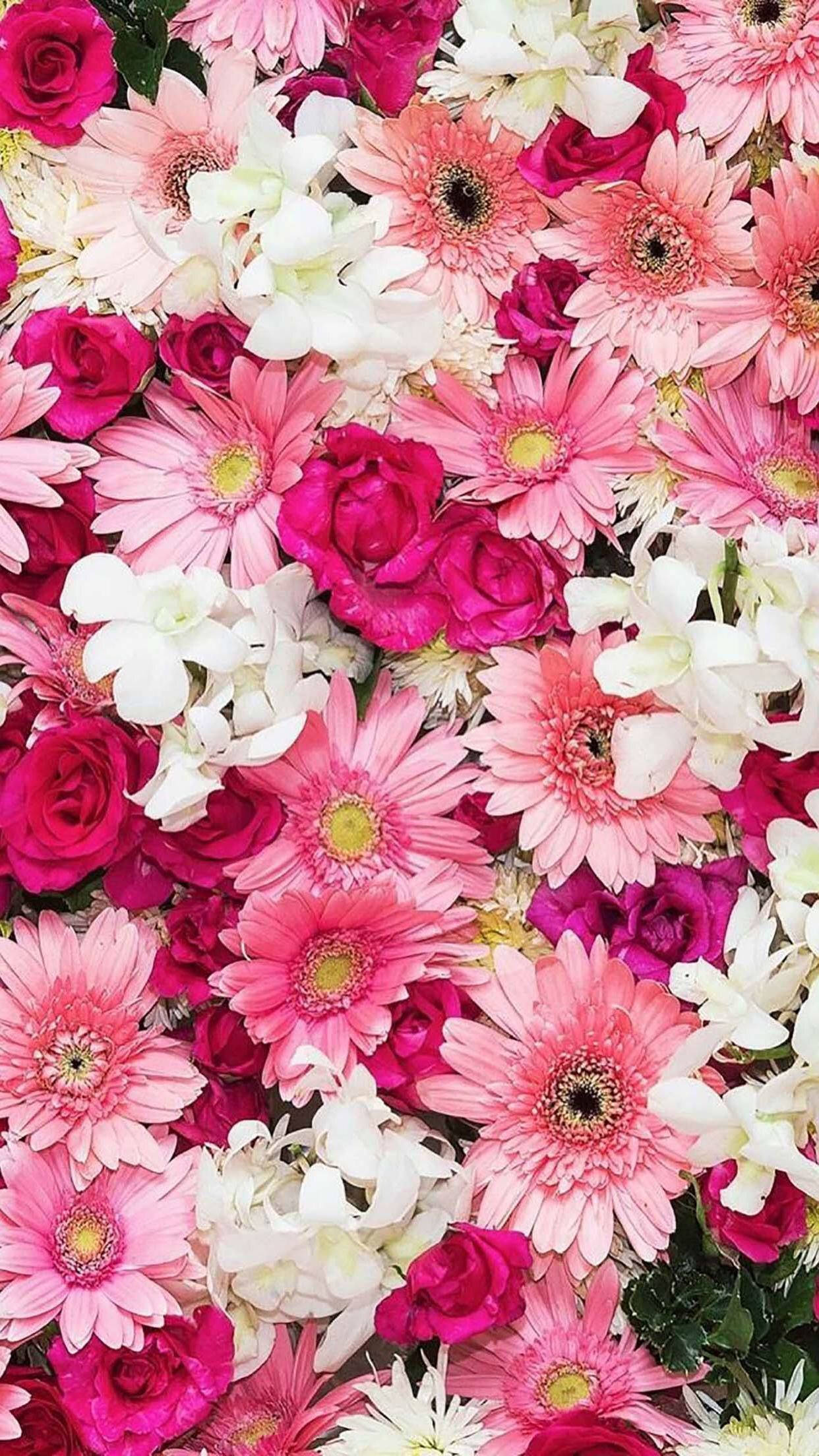 spring flower iPhone, pink, white, Full HD Phone Wallpaper