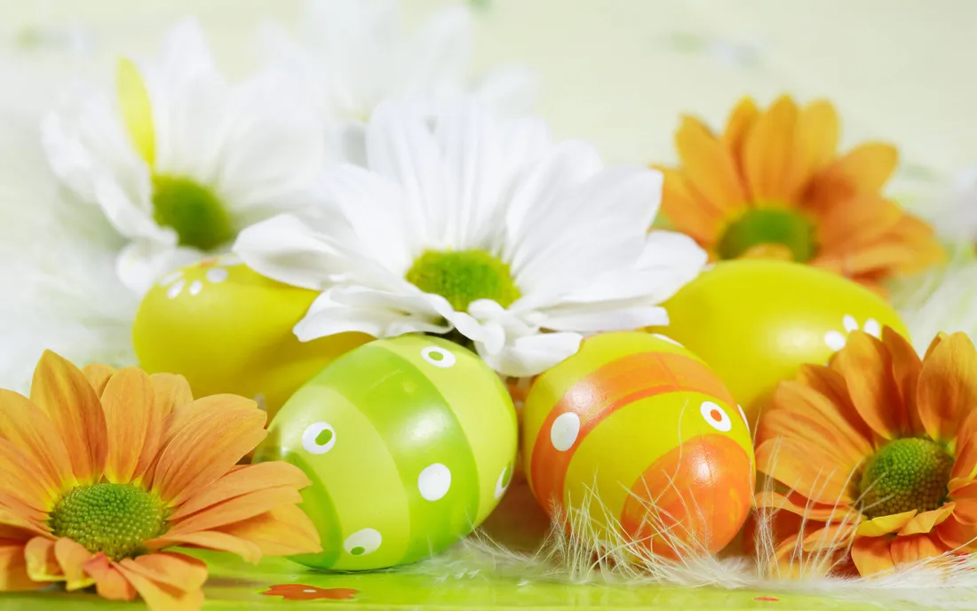 Spring Flowers