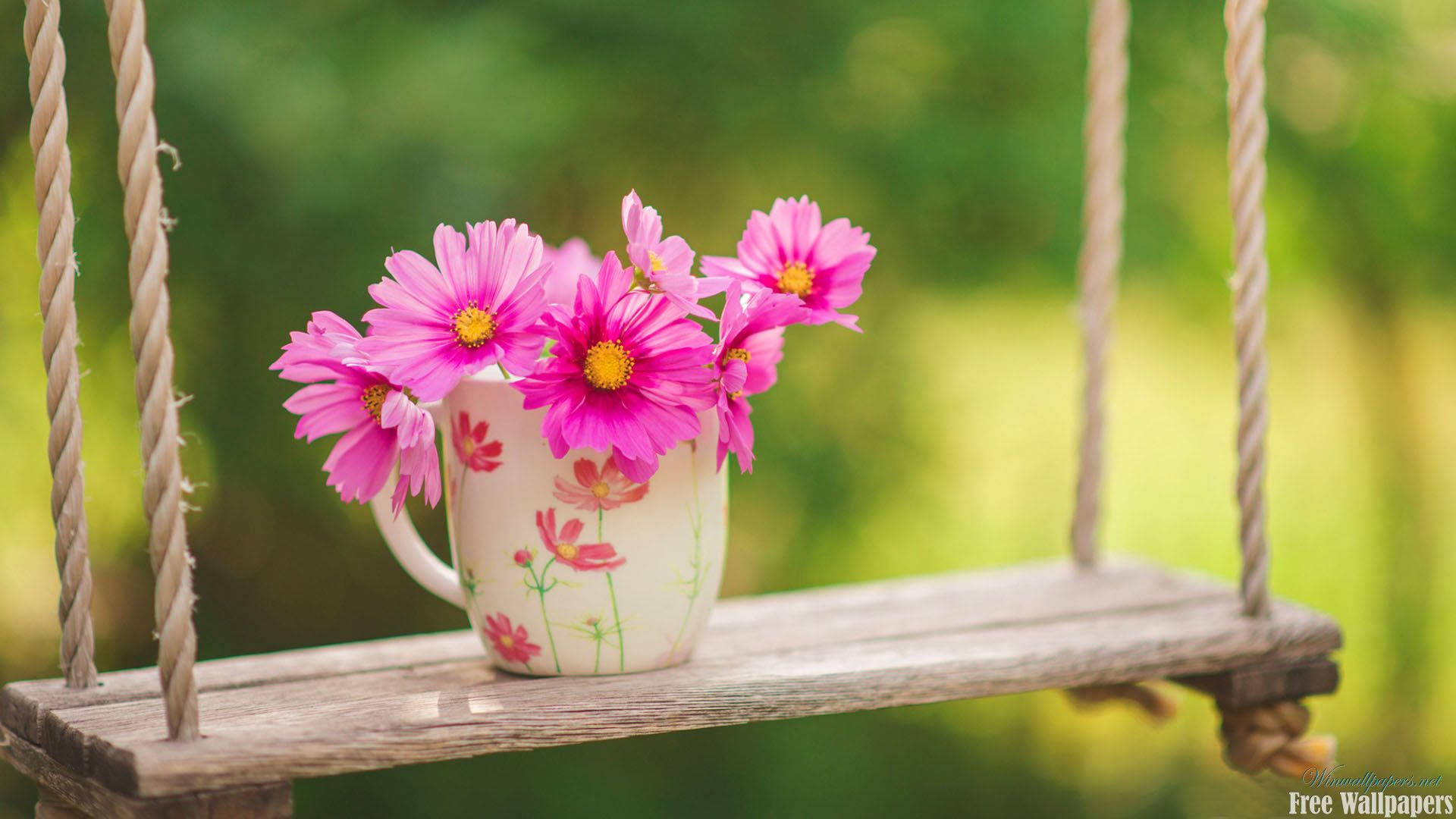 spring flowers, white floral mug, bright pink daisies, Full HD Desktop Wallpaper