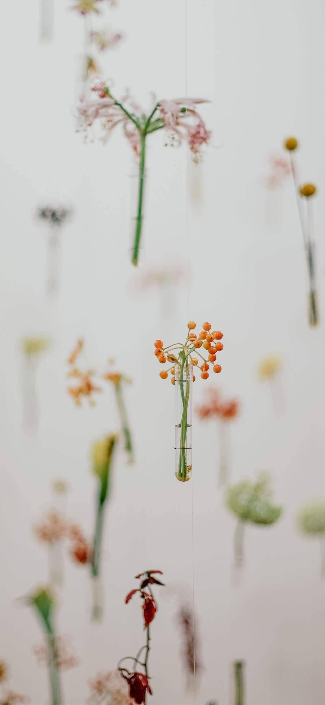 spring aesthetic, hanging flowers, glass vials, Full HD Phone Wallpaper