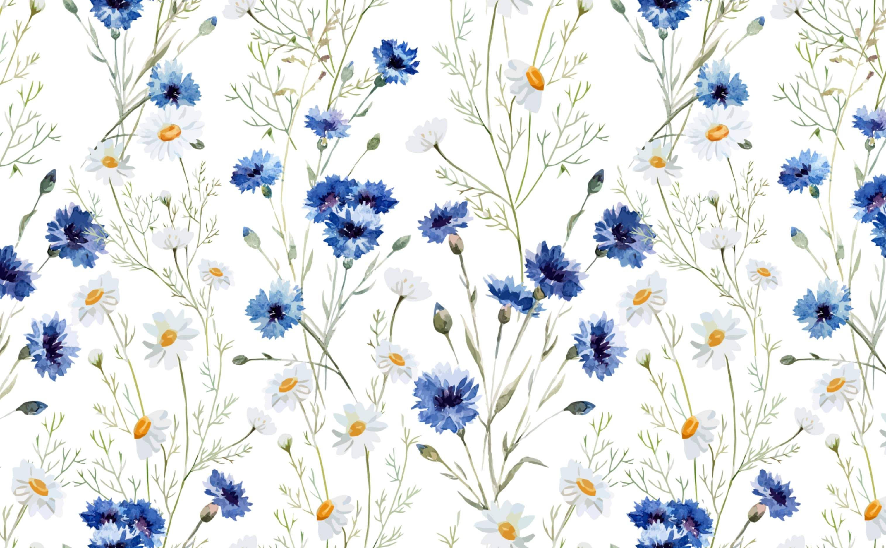 blue cornflowers, white daisies, slender green stems, 2K Desktop Wallpaper