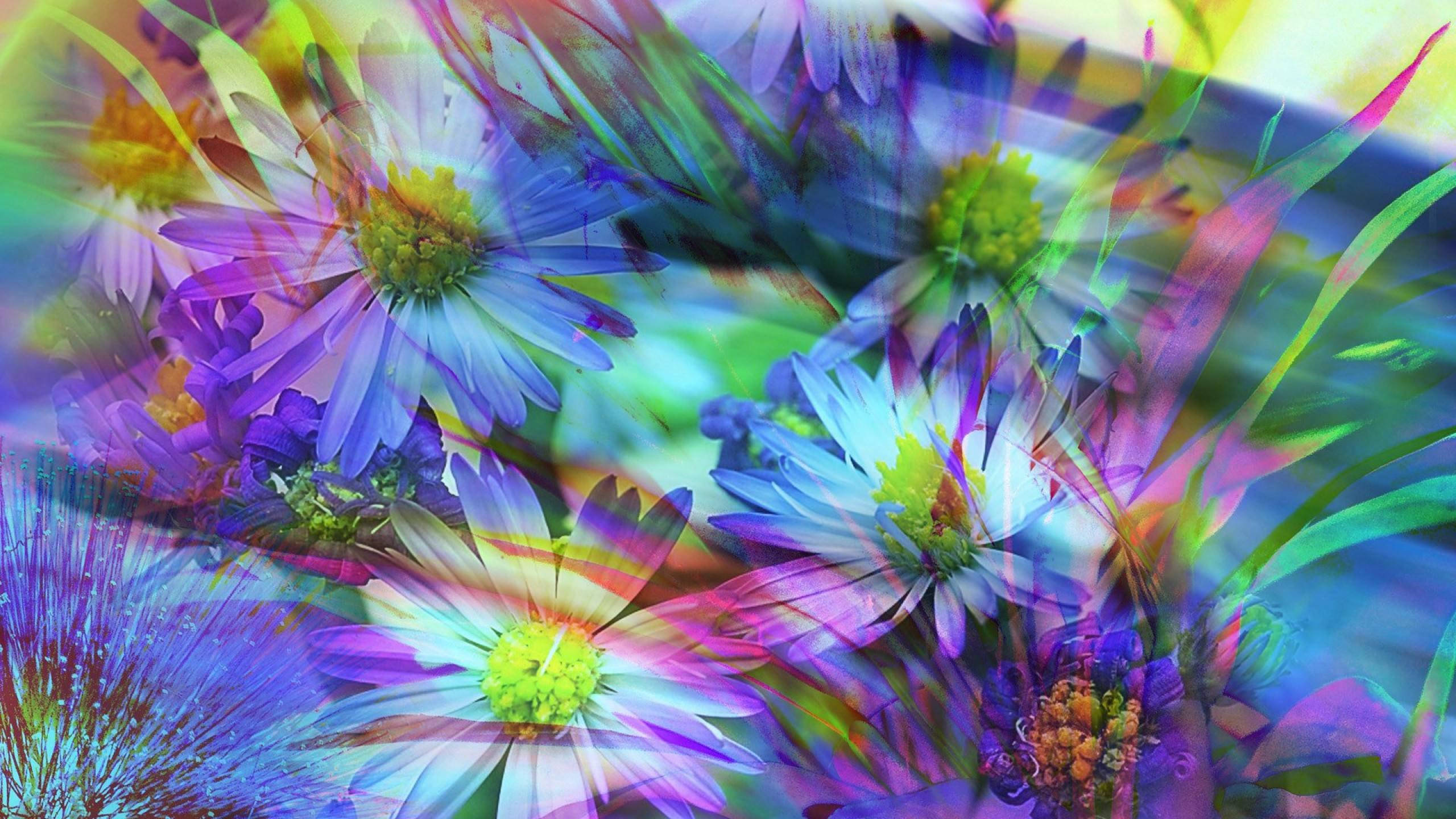colorful abstract spring flowers, swirling rainbow hues, blurred petals, 2K Desktop Wallpaper