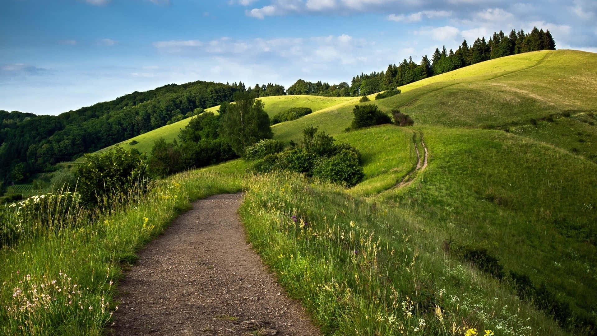 spring grass, 1920 x 1080, dirt path, Full HD Desktop Wallpaper