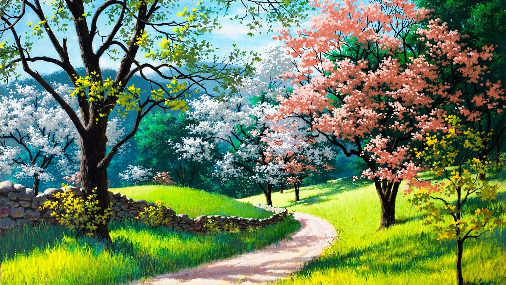 spring grass, cherry blossom trees, pink and white bloom, Full HD Desktop Wallpaper