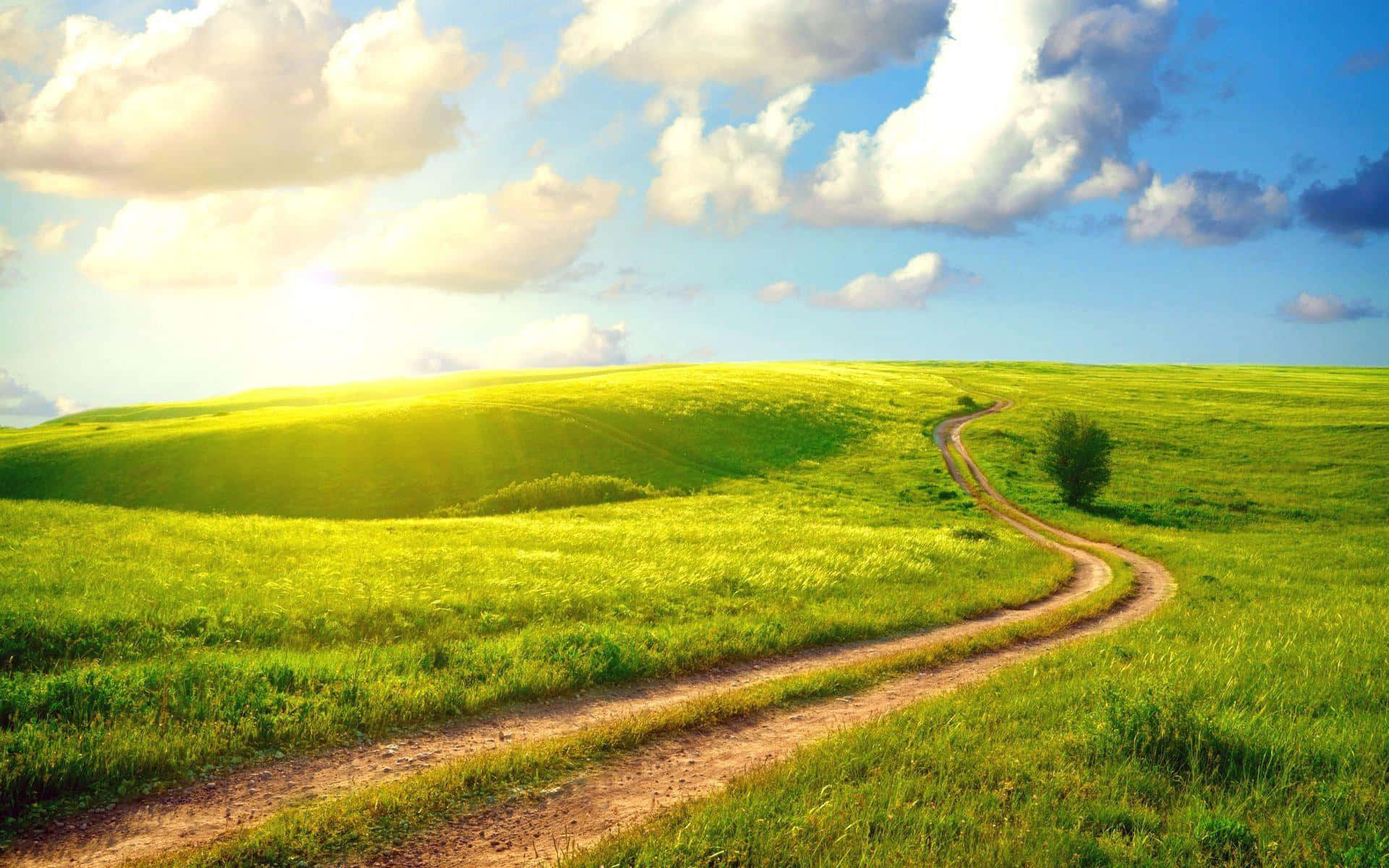 Spring Grass, 1920 x 1200, vibrant green rolling hills, Full HD Desktop Wallpaper