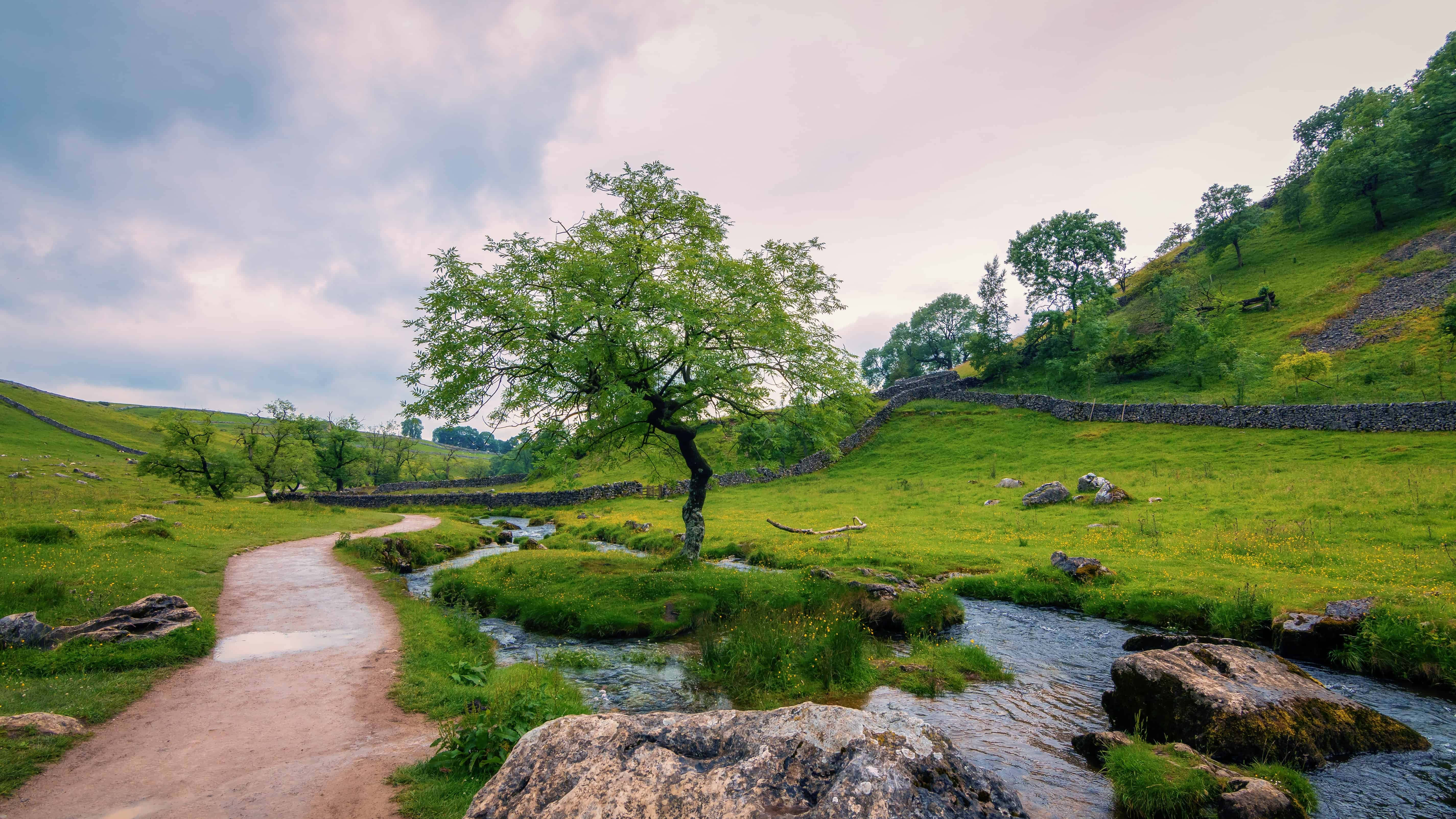 Spring Meadow, dirt path, green valley, 5K Desktop Wallpaper