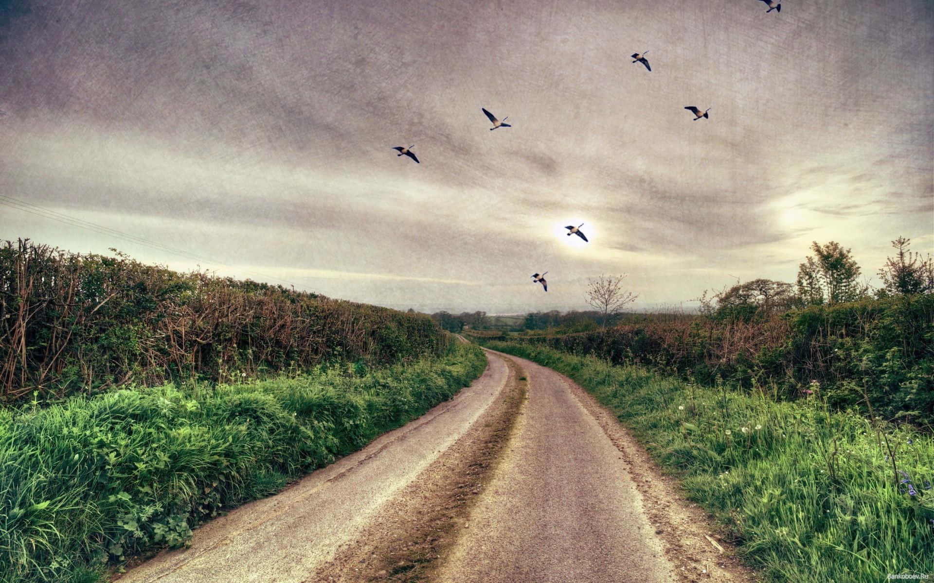 Spring Weather 1920 x 1200, Blossoming Spring Garden, winding dirt road, Full HD Desktop Wallpaper