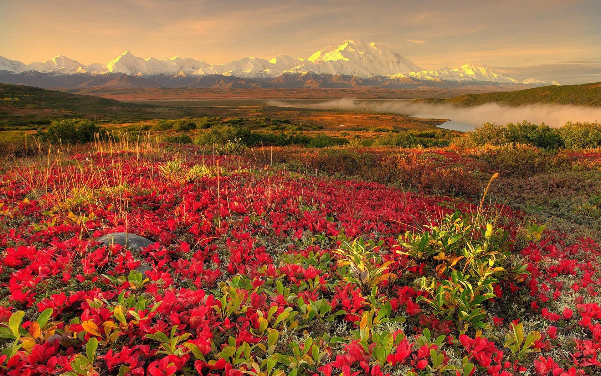 spring landscape, tundra foreground, lake, Full HD Desktop Wallpaper