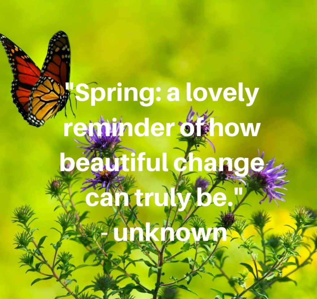 monarch butterfly, purple flowers, vibrant green blurred background, SD Desktop Wallpaper